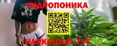 прущая мука Кингисепп