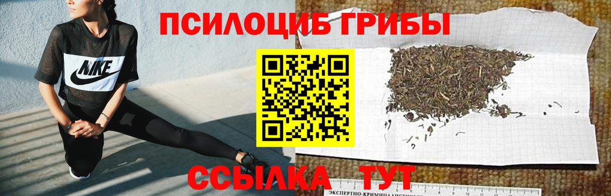 Галлюциногенные грибы Cubensis  Псилоцибиновые грибы ЛСД  Коммунар  Вход с VPN 