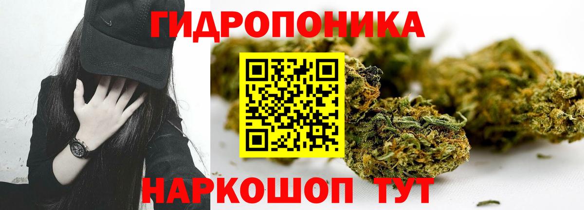 Каннабис гибрид  Вход с VPN  Коммунар  Канабис OG Kush  МАРИХУАНА VHQ 